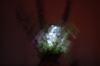 Прикрепленное изображение: 0745s.jpg